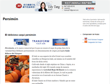 Tablet Screenshot of persimon.biz
